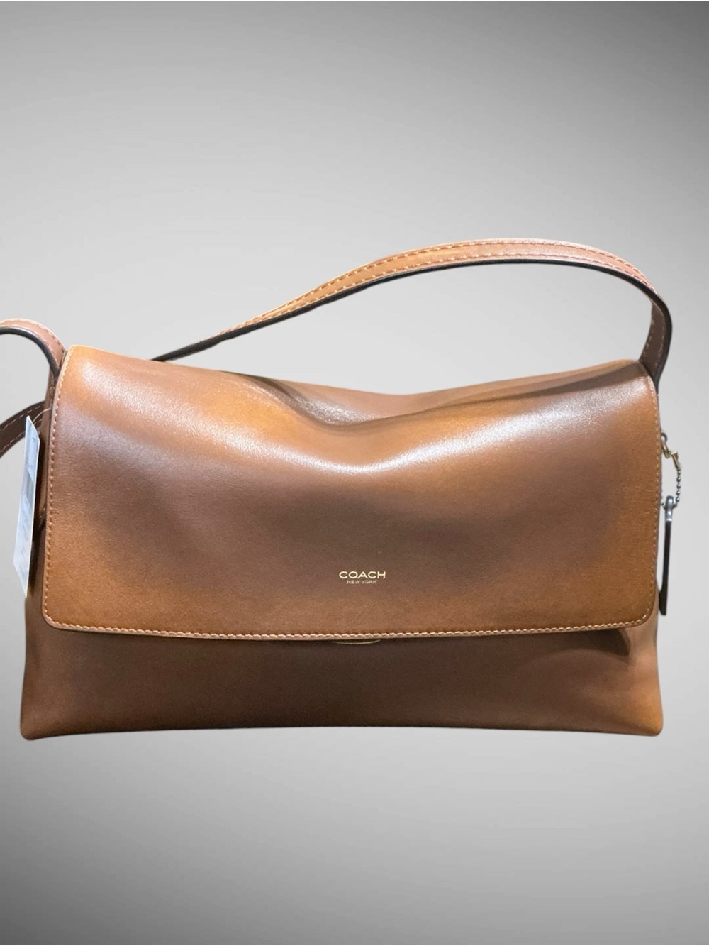 Coach Chelsea 30 Loved Leather Shoulder Bag Brown Pushlock NWT CEN58 - Picture 3 of 16